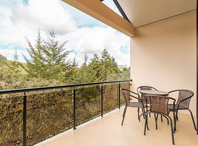 Avistamientos de aves