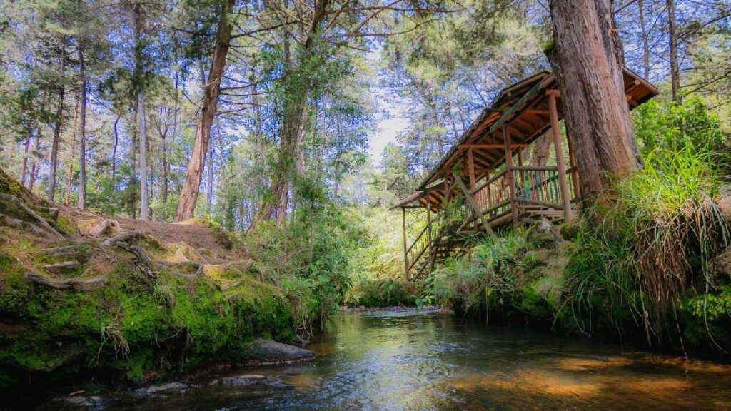 Parque Arvi Magnolios Villas
